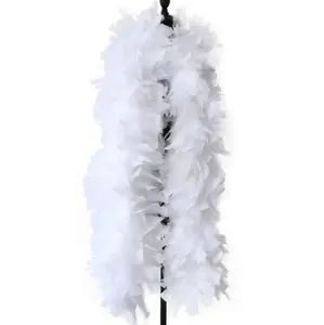 High Quality Lingerie 200G 2M Christmas Tree White Dyed Colors Sexy Bulk Feather Boa