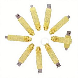 Memoria USB Tipo-C Doble con Diseño de Dragón en Aleación Dorada Vintage, Logotipo Personalizado, Regalo de Lujo para Eventos Empresariales de Estilo Chino - Product Image 3