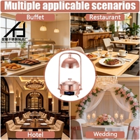 Chauffe-Plat Électrique de Luxe en Acier Inoxydable Or Rose 8L pour Buffet, Lampe Chauffante Infrarouge pour Traiteur