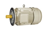 Moteur asynchrone électrique triphasé triphasé à courant alternatif de YE3-100L2-4 380V pour le tricycle