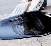 Toit Jardin et Podium Deck Imperméabilisation Utiliser des revêtements en polyuréthane à base d'eau une membrane Trafficable robuste