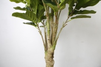 Plante artificielle en feuilles de cannelure de 185cm, fausses fleurs, pour décorer la maison et la fête de mariage, vente en gros