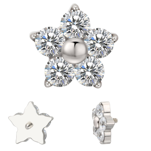 Astm F136 Implantaat Kwaliteit Titanium Gepolijst Goud Labret Neus <span class=keywords><strong>Septum</strong></span> Ring Helix Kraakbeen Oorbel Titanium Piercing Sieraden - Product Image 4