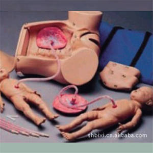 แบบจำลองการฝึกอบรมกลไกการคลอดแบบขั้นสูง BIX-F52 สำหรับโรงเรียนพยาบาล โรงพยาบาล วิทยาศาสตร์การแพทย์ รุ่น PVC สำหรับการฝึกคลอดบุตร - Product Image 5