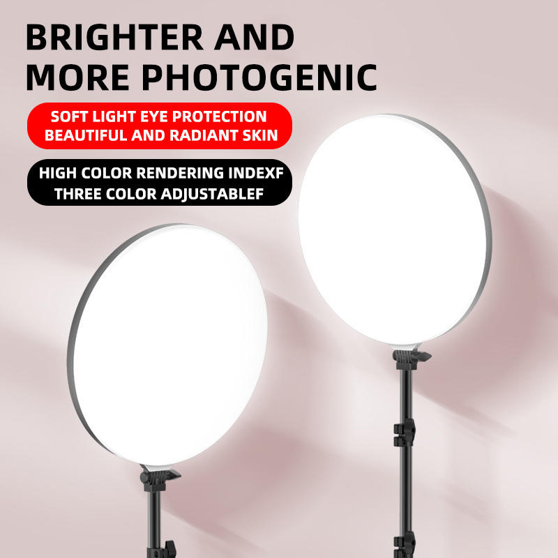 Luce del pannello circolare da 19 pollici