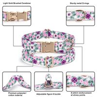 Kalung Anjing & Kucing Berkualitas Tinggi Klasik Modern Ramah Lingkungan dengan Gesper Logam yang Dapat Disesuaikan dan Kustomisasi Logo