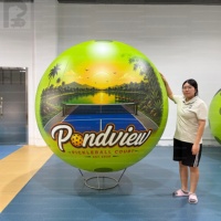 Ballon de pickleball gonflable géant de 1m, 2m, 3m avec logo personnalisé et LED lumineuses pour tournoi nocturne/publicité/marché de niche des clubs