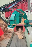 Équipement de concassage de bois à prix compétitif avec composants de noyau de moteur cyclone