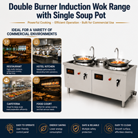 Cuisinière à induction professionnelle en acier inoxydable pour double wok 400 mm, avec une seule cuve, 2*12KW, économie d'énergie, arrêt automatique de sécurité, facile à utiliser