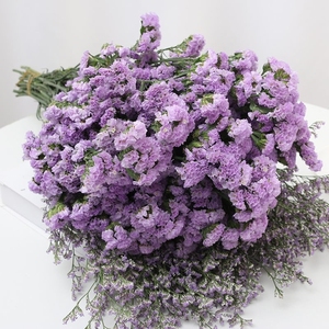 Flores Secas Naturales Preservadas de Myosotis Sylvatica (No Me Olvides) de Zante para Decoración del Hogar, Oficina y Eventos - Product Image 5