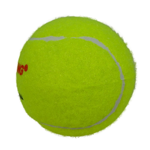 テニスボール ウインザーオンラインショップバボラ チーム オールコート 1箱 6