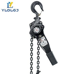 Blok rantai baja untuk katrol kerekan Manual-1 Ton <span class=keywords><strong>2</strong></span> Ton <span class=keywords><strong>3</strong></span> Ton kapasitas YiLi G80 Model - Product Image 2