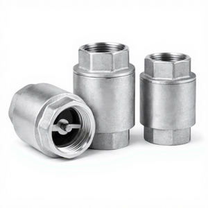 Clapet anti-retour en acier inoxydable SUS304/SUS316, fileté NPT 1,5 pouces, à ressort, avec joint en PTFE pour conduite d'eau - Product Image 1