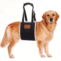 Attelle de Genou pour Chien Cruciate Care – Harnais de Soutien Simple en Néoprène Durable et Respirant pour L'Articulation Croisée du Genou (ACL) Abîmée de la Patte Arrière