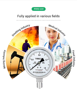 China Fornecido 1,6% Manômetro Preciso Medidor De Pressão Hidráulica Alta Precisão Manômetro De Aço Inoxidável Fosco - Product Image 6