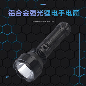 WFL-H13 LED 1000Lm - Product Image 3