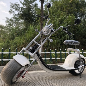 Motocicleta Nueva en Almacén Europeo, Motocicleta de 2 Ruedas, Scooter de Moda 1500W 60V 20AH - Product Image 5