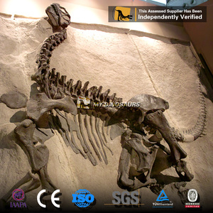 Muro fósil de dinosaurio Artificial de tamaño natural de alta calidad My Dino para equipo de <span class=keywords><strong>parque</strong></span> temático - Product Image 2