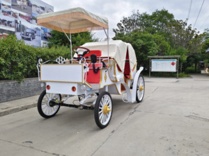 Produits en promotion : Chariot de chevaux électrique d'extérieur HengYiSheng pour 6 personnes avec toit, idéal pour mariages romantiques - Henan - Product Image 5