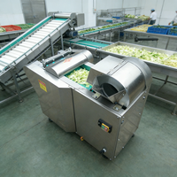 Proveedor Chino de Cortadora Industrial de Repollo, Cebolla y Patata / Máquina Cortadora de Vegetales en Venta