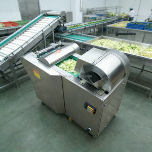 Tagliatrice Industriale per Cavoli, Cipolle e Patate / Macchina per Tagliare Verdure in Vendita da Fornitore Cinese - Product Image 4