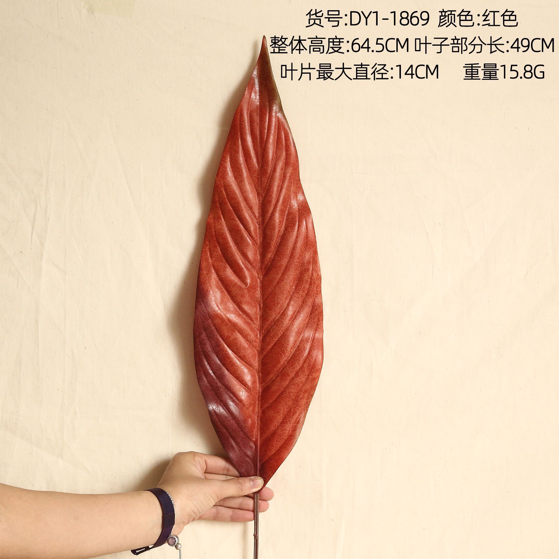 DY1-1869 Rouge