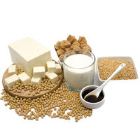 Machine à lait de soja et au tofu auto-chauffante la plus populaire, produisant 80 kg de tofu par heure