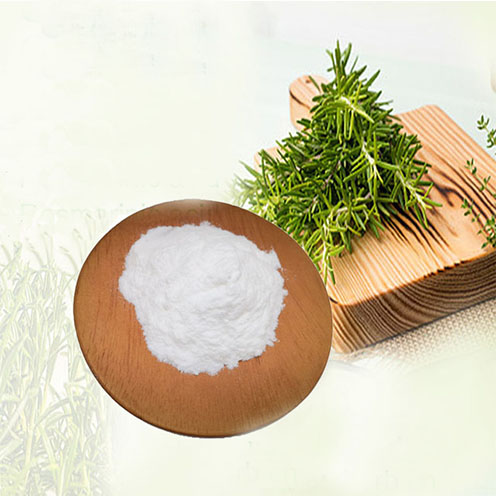 CAS:77-52-1 Rosemary Extract Ursolic acid powder