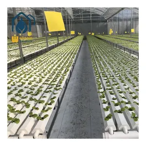 greenhouse hydroponic nft system grow trays nft hydroponic channel leafty greens vegetables