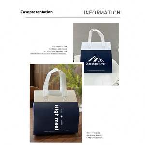 Bolsa de Almuerzo Personalizada con Logotipo para Bebidas y Comida Rápida, Bolsa Portátil de Tela No Tejida con Lámina de Aluminio y Bolsas Refrigerantes Desechables para Llevar - Product Image 4