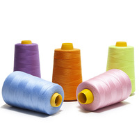 Fil de soie naturelle en soie 100g 60s/2/3 3000y/5000y/8000y, pour tricot/tissage