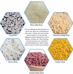 Ligne de production automatique motorisée de <span class=keywords><strong>couscous</strong></span> de riz extrudé et expansé, machine d'extrusion haute vitesse en acier inoxydable - Product Image 6