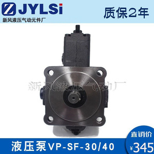Pompe à aubes variables JUNTAI VP-SF-30-D 250 Bar, pompe à huile hydraulique pour pompes chimiques - Product Image 4