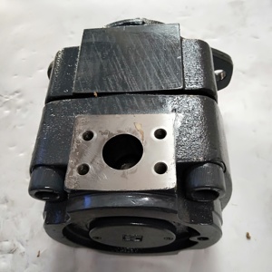 Bomba de engranajes internos gerotor hidráulica de alta duración QXM Serie QX QX63 QX64 QX81 QX82 QX83 QX84 QX63-100R443 de larga vida útil Internacional - Product Image 5