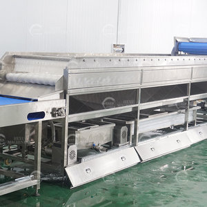 Cepillo de pulverización eléctrico Tipo de lavado Fresa <span class=keywords><strong>Sandía</strong></span> Cantalupo Tomate Lavadora de batata - Product Image 4