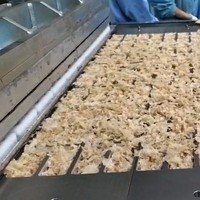Nouvelle ligne de production de barres croustillantes au blé entier, machine alimentaire pour flocons d'avoine entiers