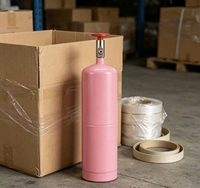 Bouteille de gaz He légère et portable de 1L d'origine turque pour ballons d'anniversaire, de mariage et de célébrations, avec OEM