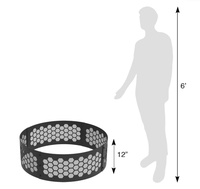 Brasero extérieur moderne noir en acier robuste pour bois, avec écran de protection portable en maille alvéolée pour foyer de camping