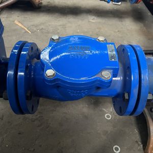Clapet de retenue à bride oscillante en fonte ductile standard DN50-600 avec revêtement en caoutchouc, Fournisseur de premier plan - Product Image 1