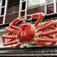 Sculpture de fruits de mer en fibre de verre de haute qualité, modèle marin personnalisé, étanche, pour aquarium, parc à thème océanique, présentation artisanale illuminée