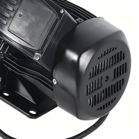 Pompe à eau sous pression pour réservoir d'eau de pluie en acier inoxydable 304, auto-amorçante JET pour l'irrigation de jardin