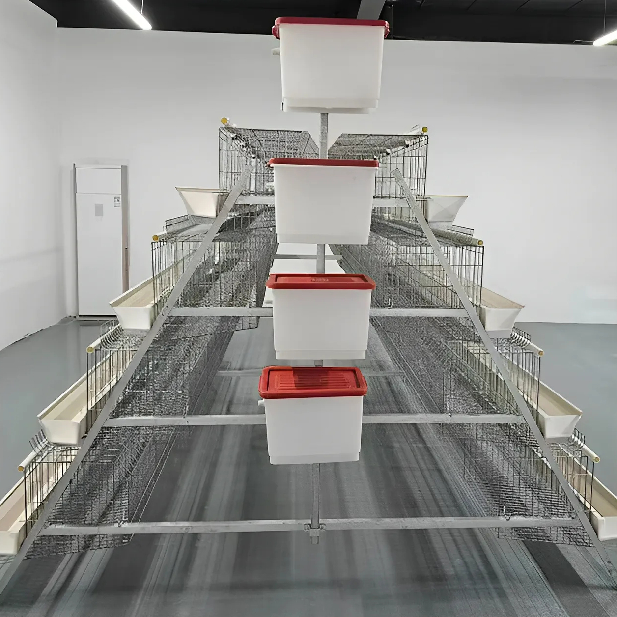 automatic layer cages egg chicken poultry farm