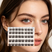 Cils de style elfe, créant un maquillage des yeux parfait et exquis. Lash Factory : Vente en gros avec personnalisation disponible.