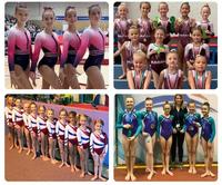 Offre Spéciale moderne élégant gymnastique rythmique Performance porter personnalisé Polyester Unitard justaucorps sublimé scène compétition
