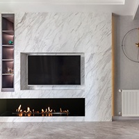 Cheminée à l'éthanol de haute qualité, Design décoratif, brûleur à l'éthanol, petit foyer d'appartement