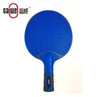 Batte de tennis de table portable en plastique de bonne qualité avec 2 raquettes et 2 balles de ping-pong, prix d'usine