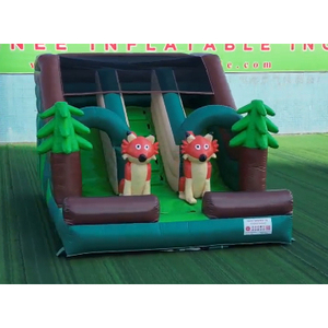 Castillo Inflable Comercial de PVC para Interiores/Exteriores, Combinación de Tobogán y Trampolín, 6x4x5M, Aventura, Personalizado por Fábrica QY, Venta Caliente - Product Image 1