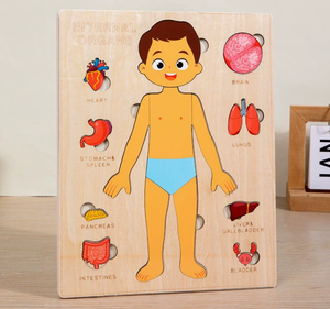 Jeu éducatif écologique en bois Montessori sur la structure du corps humain pour enfants, garçons et filles - Product Image 3