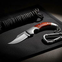 Couteau de poche EDC très économique, couteau à fruits domestique, couteau pliant portable en acier inoxydable avec manche en résine, porte-clés pour la randonnée