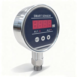 Sesuaikan pemancar tekanan hidrolik, tampilan LED Digital pemasangan bawaan 24V standar 0-200MPa - Product Image 4